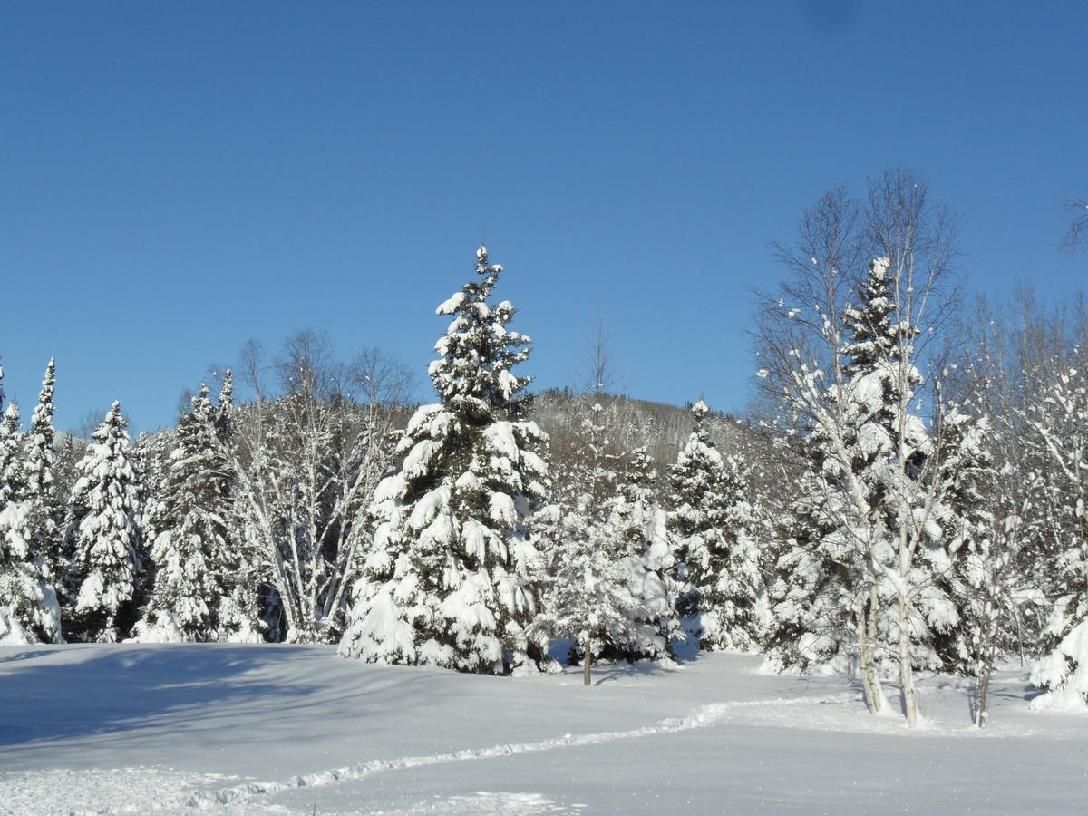 Le Relais Des Hautes Gorges Saint Aime Des Lacs